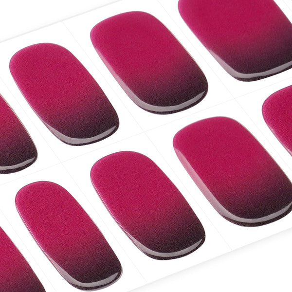 Rose Red and Black Ombre