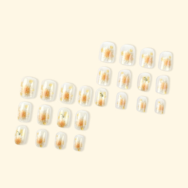 Press On Nails DY1743-K2-B7