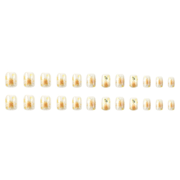 Press On Nails DY1743-K2-B7