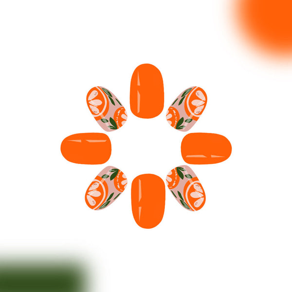 12 Sizes-24 Pcs Press On Nails C844