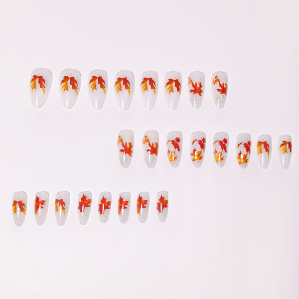 12 Sizes-24 Pcs Press On Nails Brown