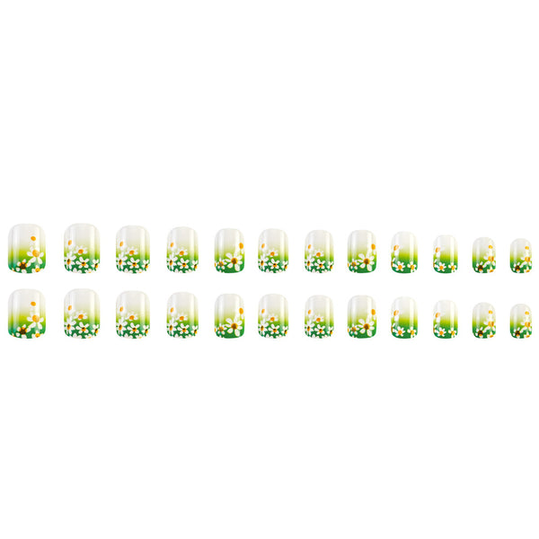 Press On Nails DY1370-B7