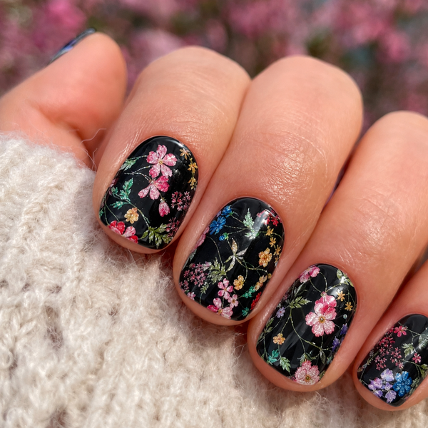 Midnight Bloom