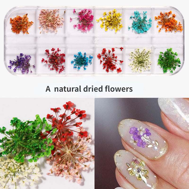 Dried Flowers for Nail Art & Resin Craft DIY Decorations - Perfect for Manicures, Pedicures, and Crafting