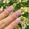 UV-free White French