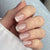 Press on nail JP3479