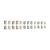 15 Sizes-30 Pcs Acrylic Press On Nails JB241