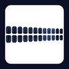 Dark blue leopard print press ons