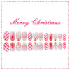24pcs/Set Press On Nails JB975