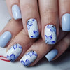 Fleurs bleu clair, bleues et blanches
