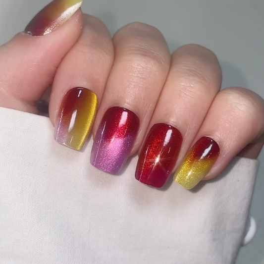 Press On Nails T049