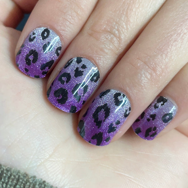 Purple Leopard