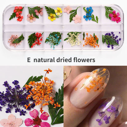 Dried Flowers for Nail Art & Resin Craft DIY Decorations - Perfect for Manicures, Pedicures, and Crafting